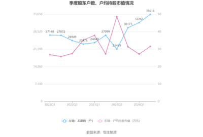 上海瀚訊2024年上半年業(yè)績(jī)分析 營(yíng)收下滑與戰(zhàn)略轉(zhuǎn)型下的陣痛